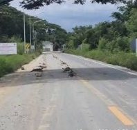 รถบรรทุกสิบล้อบรรทุกดินตกหล่นบนถนน สายพังสิงห์หนองนก สายตรวจรถยนต์ 20 และสายตรวจจราจร ตรวจที่เกิดเหตุ