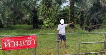 ร้อยเวรฯ ตรวจสอบที่เกิดเหตุลักปาล์มน้ำมัน ม.13 ต.ท่าเรือ